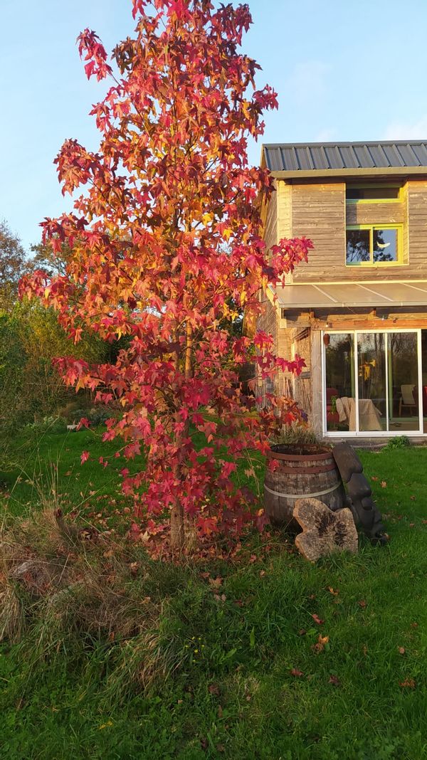 Home in Riec-Sur-Belon