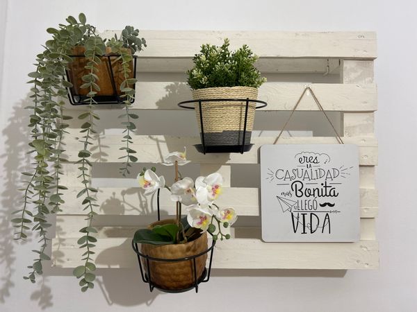 La maison de Salvador