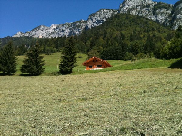 Nelly's house