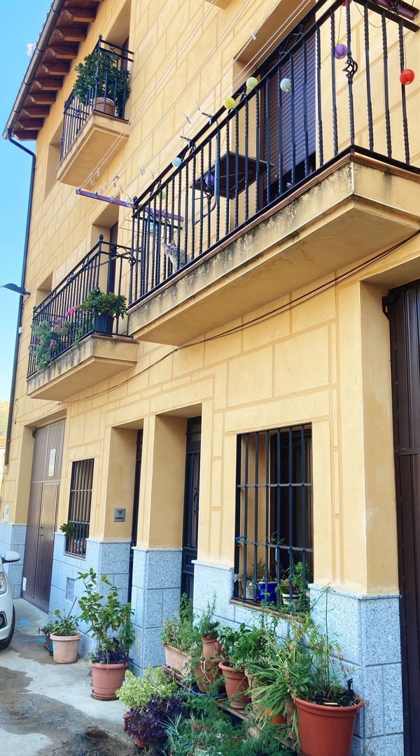 La maison de violeta