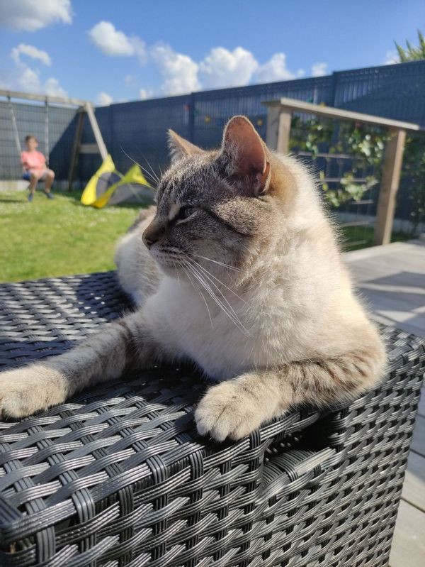 Maison moderne avec jacuzzi à 15min de la mer