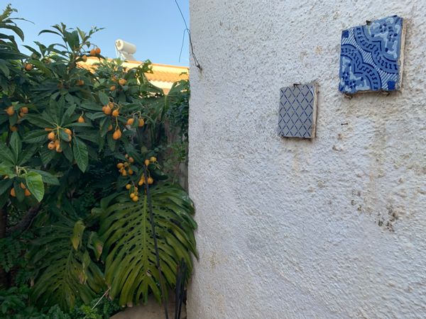 Micheles hus