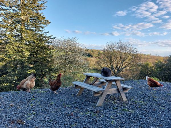 entre le Mont Saint Michel et les plages du débarquement