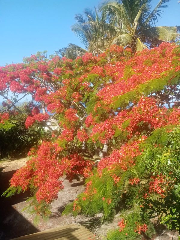 La chambre privée de Guy et Babeth