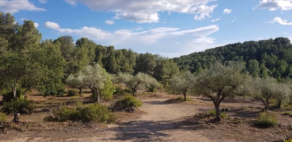 Spanish 18th century masia in the middle of nature