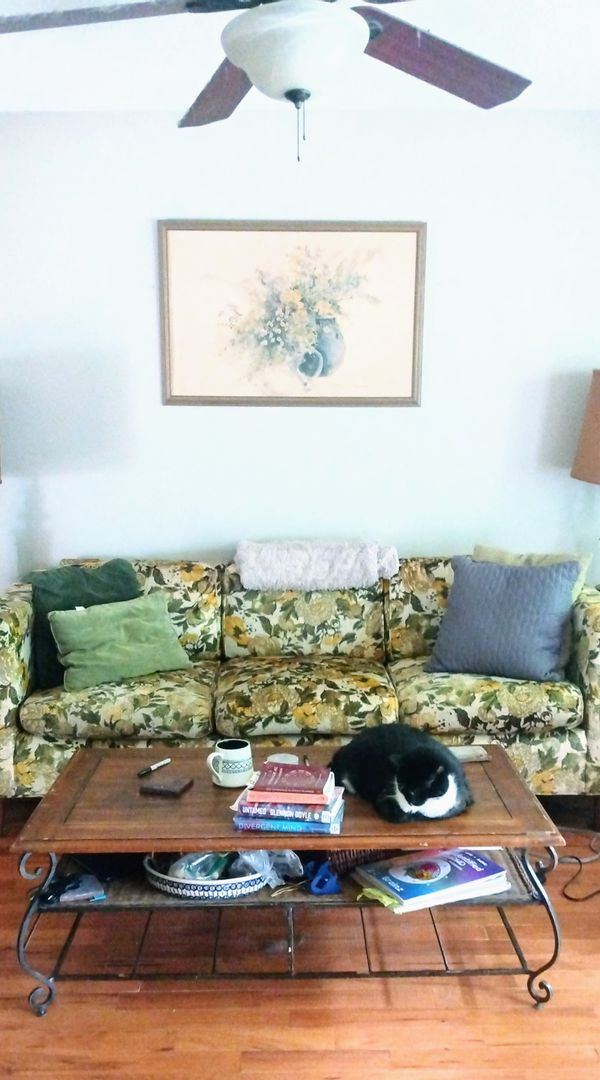 Sweet Country Experience Near Asheville