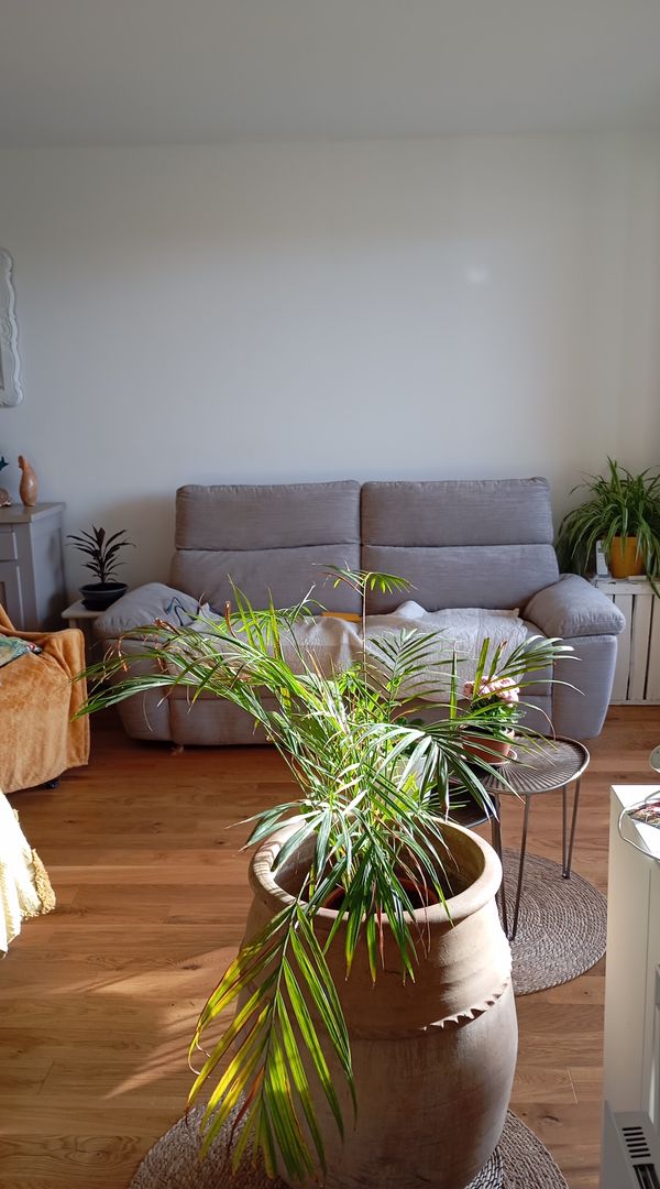 La maison de Danielle et de Bouba le chat : un appartement totalement rénové en 2025 avec le confort moderne sans être une galerie d'art et un lieu impersonnel, son charme est sa grande luminosité, son calme bien qu'à deux pas du centre ville et ses facilités de transports urbains qui commencent en bas de l'immeuble. Les pièces donnent côté jardins avec une "légère" vue me , quelquefois une sirène de bateau ou de pompier peut venir briser ce calme mais on est en ville à deux pas de toutes les curiosités du centre, ses commerces pittoresques, ses quartiers à découvrir et autre atout le bord de mer et les iles toutes proches. Bref pour une découverte de Marseille et un séjour sans besoin de voiture pour se déplacer, ce lieu sera une belle opportunité.