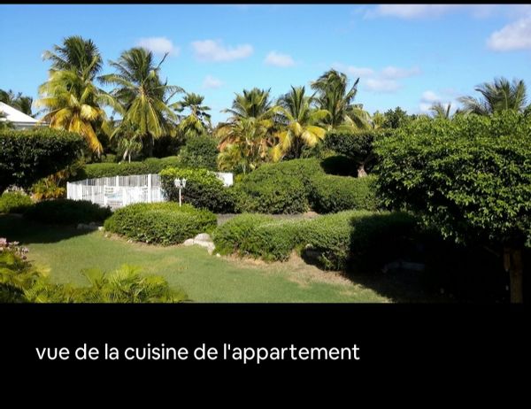 L appartement d' Elisabeth est situé proche de la mer et avec vues mer, dans un parc très arboré.