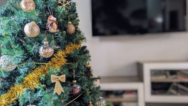 La maison de Marina et Mathieu