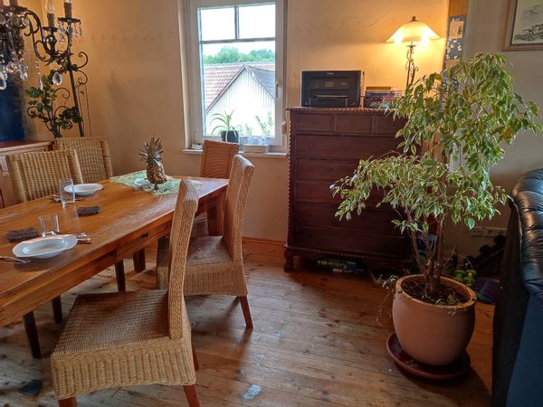 Anja's house