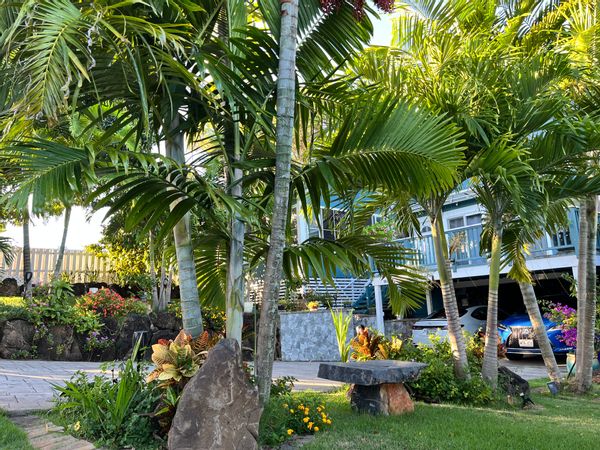 A cozy secluded home in paradise!