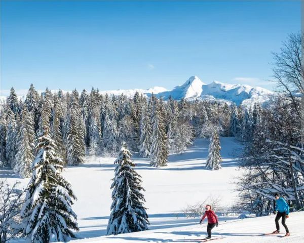 Havre de paix en Drôme Destiations : prête à me faire surprendre