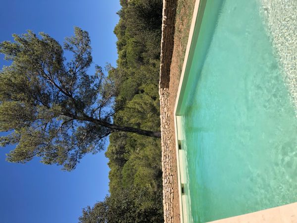 La maison en bois dans la pinède.