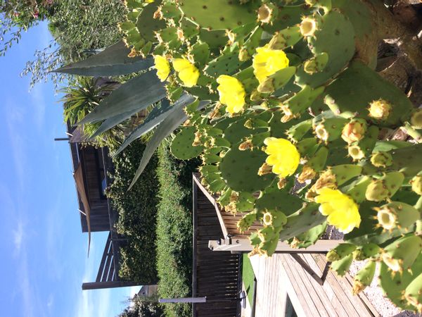 Cube 2  : minimum 4 nuits. (Pas de séjour possible du 1 juin au 30 aout)