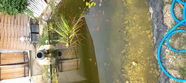 La maison originale proche du Der en Champagne