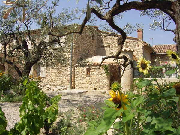 La Fenière - L'olivier