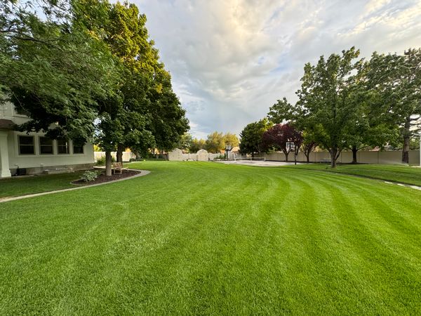 La maison de Cameron