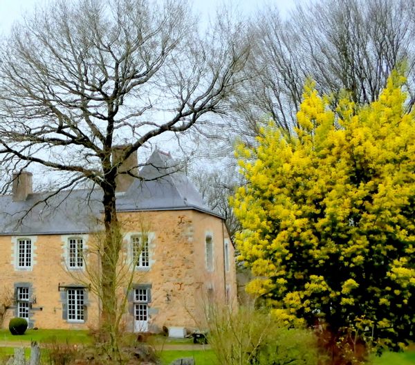 Au château à la campagne