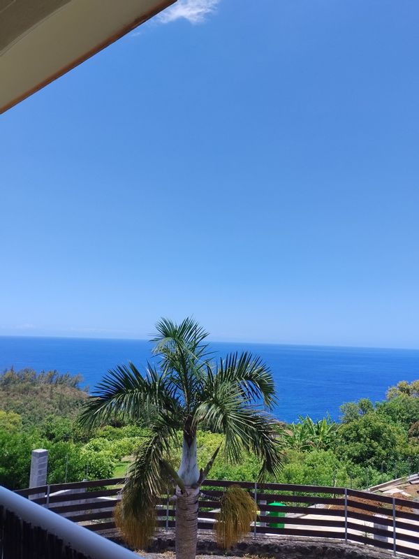 Mon appartement est situé à 50 m d'un arrêt de bus qui dessert toute l'ile de La Réunion . Parfait pour découvrir le sud sauvage , le volcan , la route des laves . .Dans une résidence de 12 appartements , en RC , facile d'accès , mon appartement a une vue magnifique sur l'océan , au calme , dans un parc privé , parking sécurisé , dominant Grande Anse (la plus belle plage ) il a une grande terrasse pour y manger . La piscine est sécurisée .