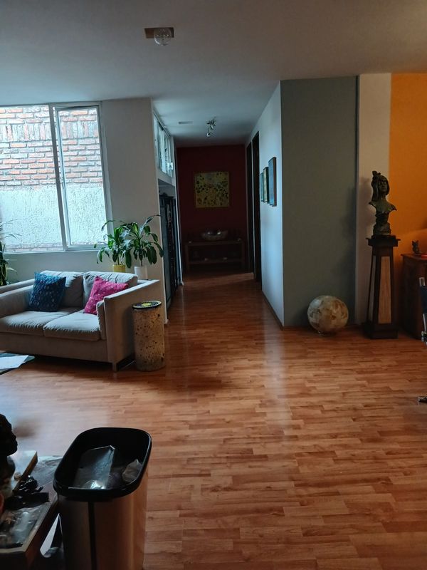 armando's house