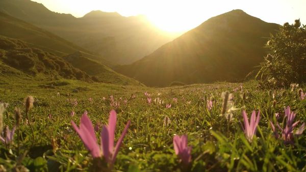La maison de Katharina & Germà