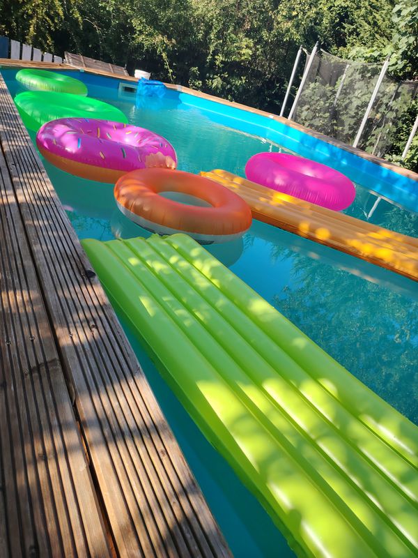 Home sitting et pet sitting à 15kms de Toulouse  La campagne à la ville