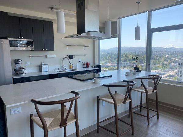 Penthouse with Mt Rainier views