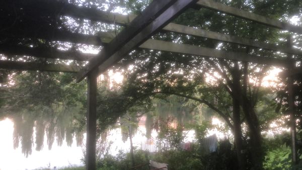 Le paradis de Celine