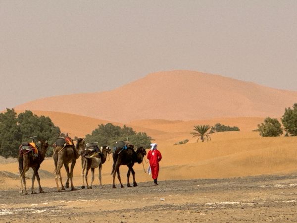 HOSPITALITY - MERZOUGA SAHARA DESERT MORROCO MERZOUGA STAY WITH THE LOCALS I AM A RETIRED DOCTOR