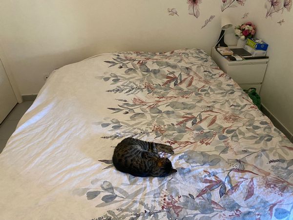 La chambre privée de Lenaïg