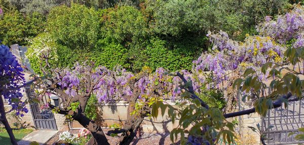 La maison de Véronique