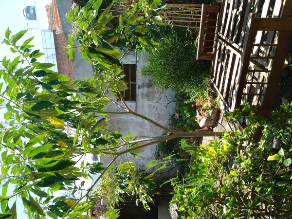 home