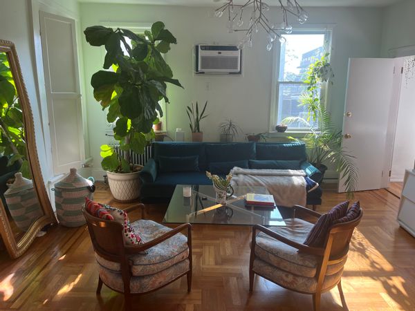 Verdant apartment in Williamsburg, Brooklyn