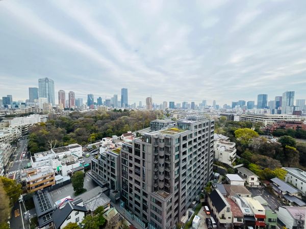 NO EXCHANGE FOR 2025 / Splendid Penthouse in central Tokyo