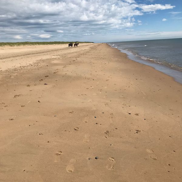 La maison de Perseph