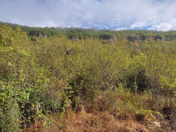 Ancienne auberge  de Lexos