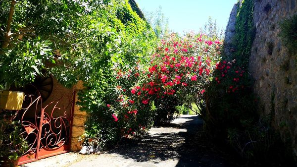 La maison de Valérie