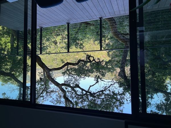 The Treehouse