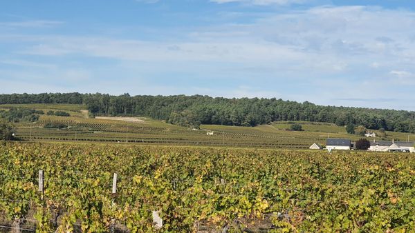 Près des vignobles et des châteaux
