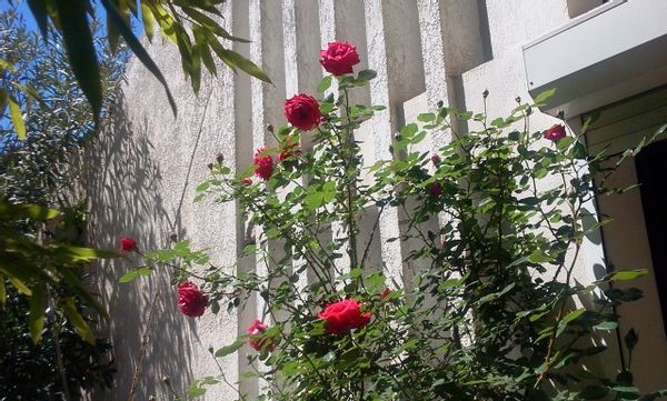 Ma maison
