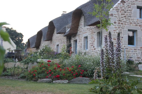 Carole's house