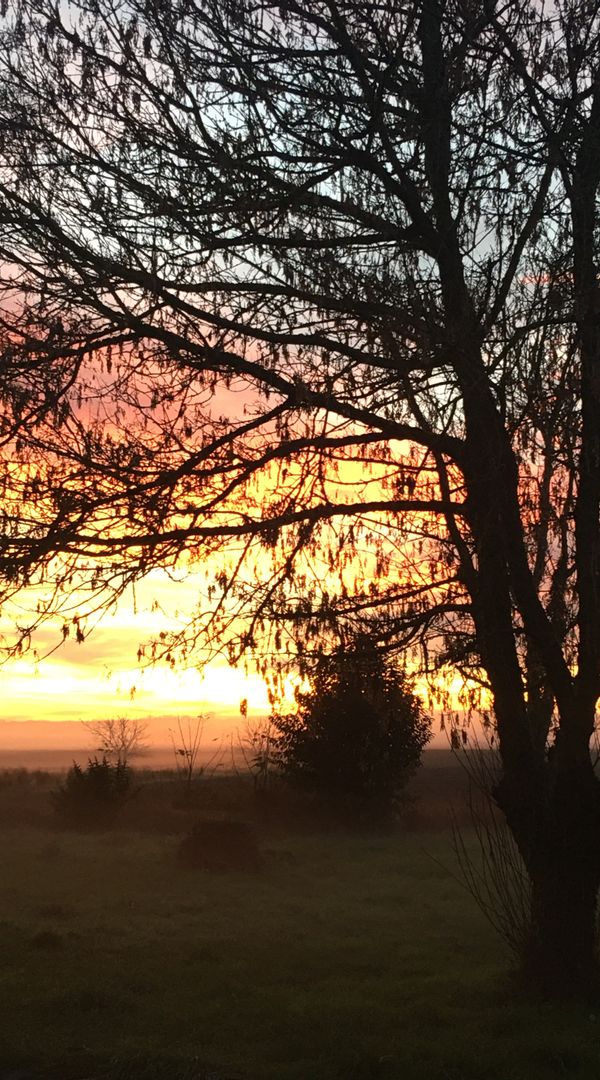 Maison de campagne en bord de Tarn