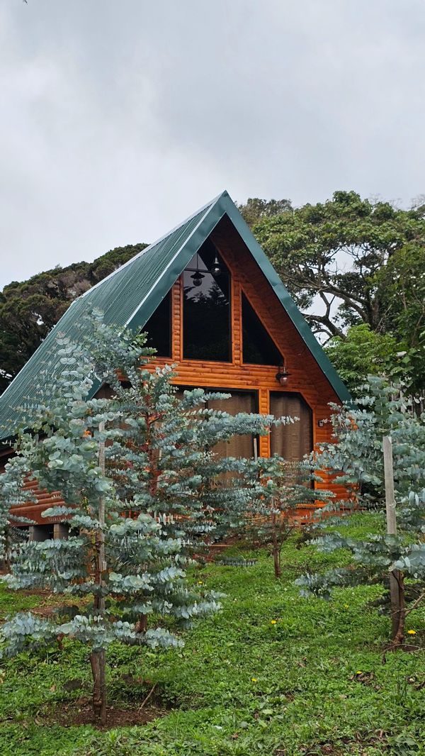 La maison de Francella