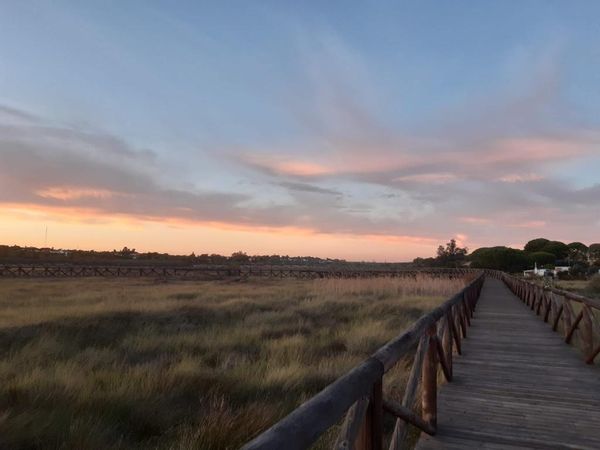 Cristina Allepuz's house