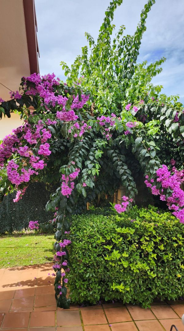 La maison de Beatriz e Iñaki