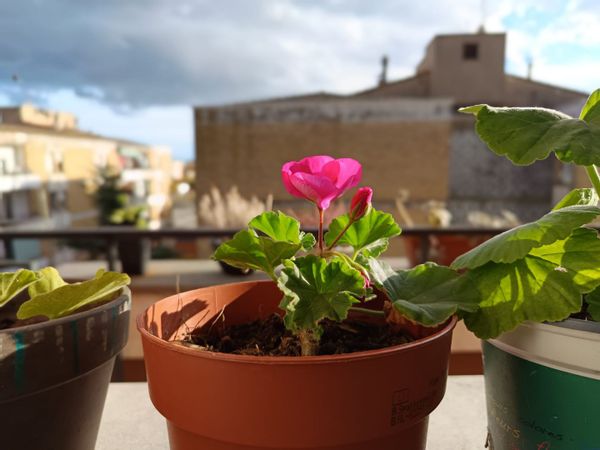 La maison de Jacob and Marta