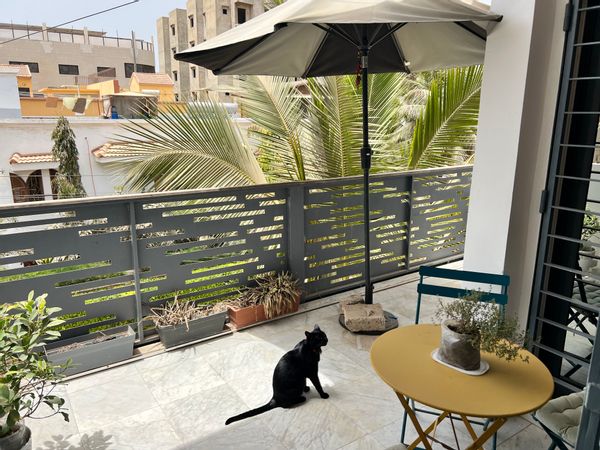 Bright, sunny and spacious 4 bedroom apartment in a lovely Dakar neighborhood. Available for summertime (June/July and December) to give keep our cat company!
