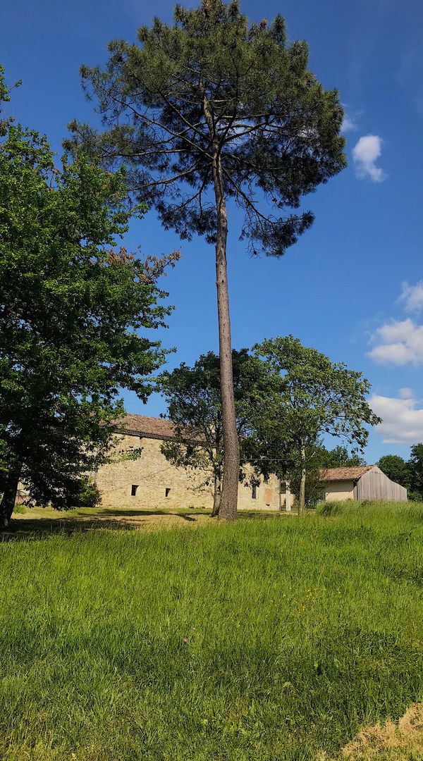 La maison de Elise