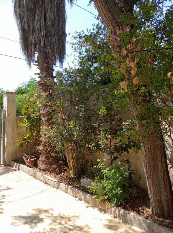 Porto Cessareo Villa
