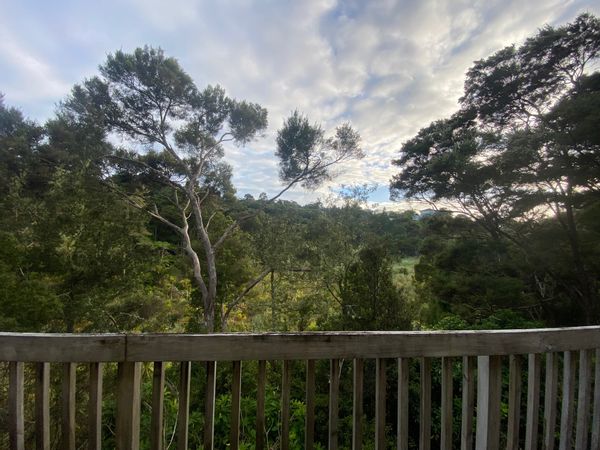 Our Auckland treehouse